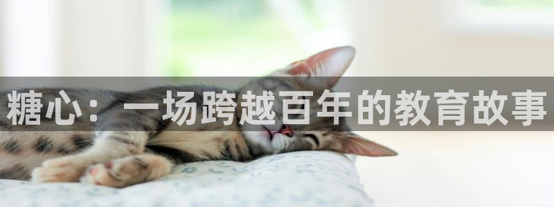 vlog糖心观看：糖心：一场跨越百年的教育故事