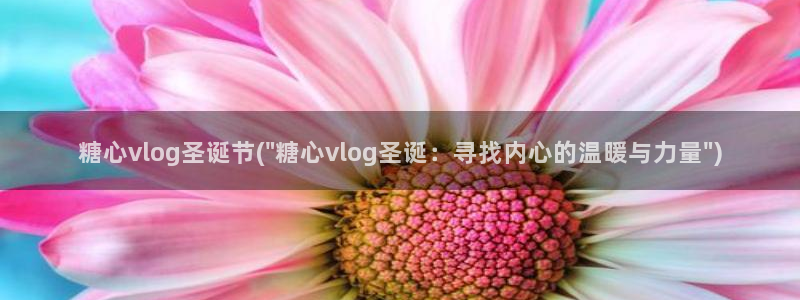 糖心vlog缓存在哪：糖心vlog圣诞节(\