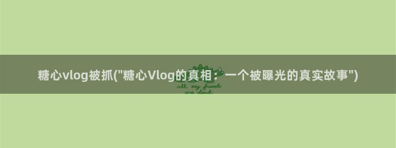 糖心vlog意思：糖心vlog被抓(\