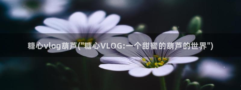 糖心vlog糖诸葛：糖心vlog葫芦(\