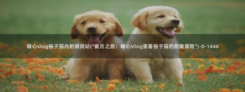 糖心Vlog优质up主：糖心vlog柚子猫内射频网站(\