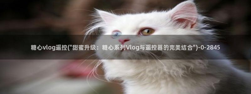 糖心vlog搬运工：糖心vlog遥控(\
