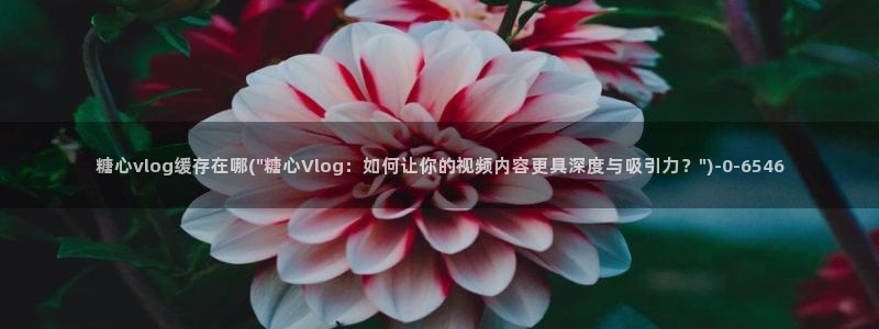 福利姬糖心vlog：糖心vlog缓存在哪(\
