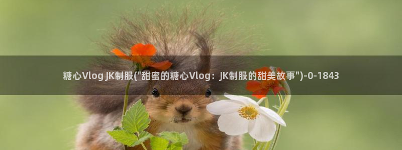 糖心vlog网站进不去：糖心Vlog JK制服(\
