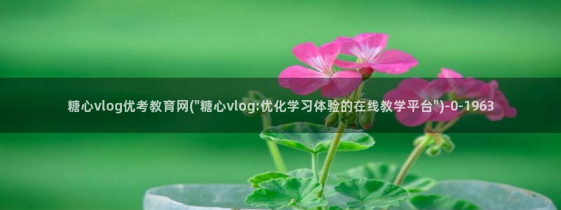 糖心vlog怎么进去
